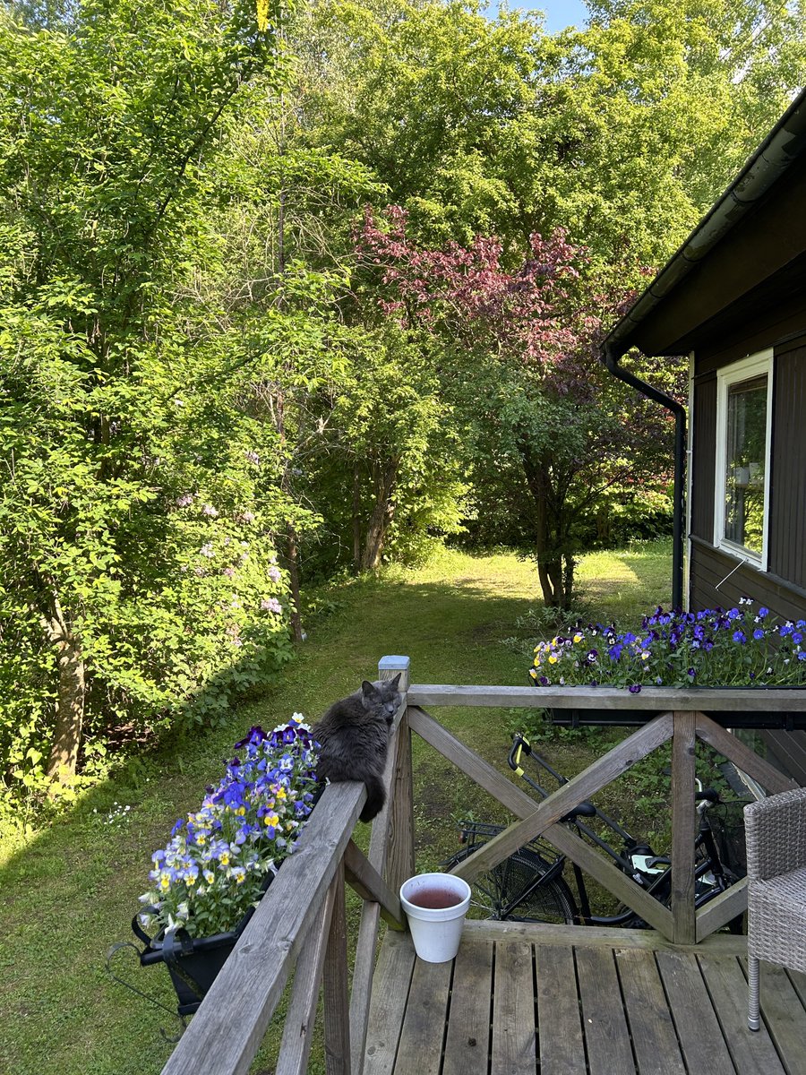 baraxxxglobama's tweet image. galen chillare #laidback