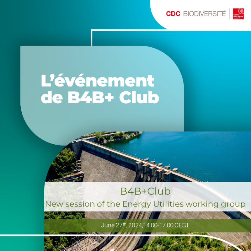 J-1 mois avant l'événement de B4B + Club ! 🎉 L'objectif est d'innover et d'alimenter les méthodologies d'empreinte de la biodiversité ainsi que de partager les meilleures pratiques pour le secteur. Pour y participer envoyer un mail à cette adresse 👉 b4bclub@cdc-biodiversite.fr