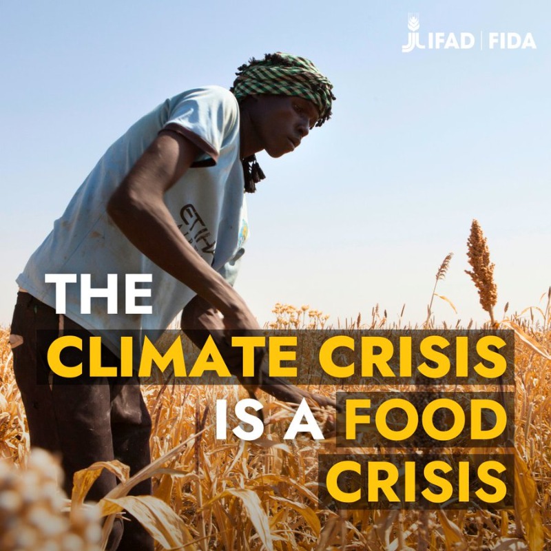 Higher temperatures are making it harder to produce food.

And for vulnerable rural communities, failed harvest seasons can mean meagre earnings and empty plates.

If we don't support them and #ActOnClimate today, we let hunger win.