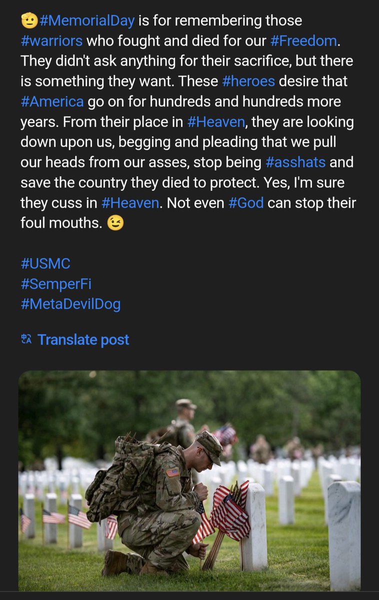 🗽 #GreatRebellion 🗽
🇺🇲 #UltraMAGA 🇺🇲