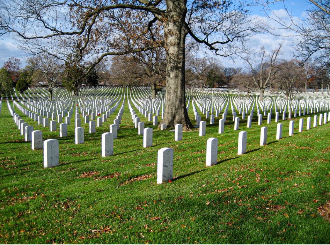 WilliamShatner's tweet image. Remembering those who have fallen to protect the freedoms of the world. #MemorialDay