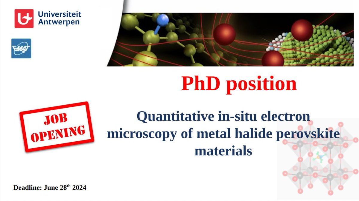 📢 We are looking for motivated students for PhD positions in Quantitative In-Situ Microscopy of Metal Halide Perovskites.  Apply now to join the world renowned EMAT electron microscopy group! #PhDPosition @EmatSarabals  uantwerpen.be/en/jobs/vacanc…