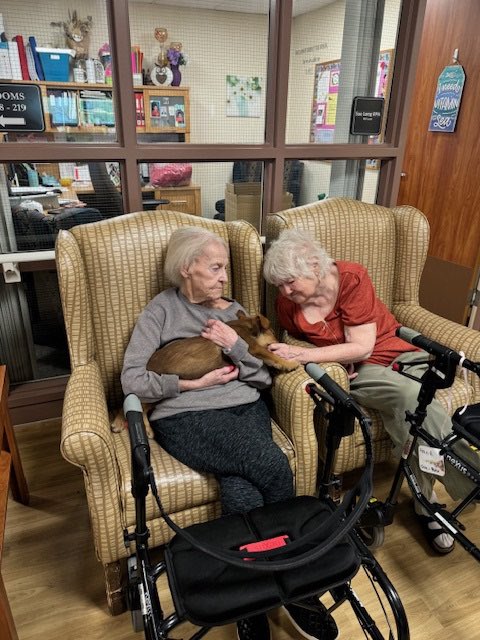 More puppies!! 🐶

Thank you to Snowflake Meadows for visiting HHHS again last week!

As you can see from the smiles, these furry little friends brightened our day!

Looking forward to our next visit!