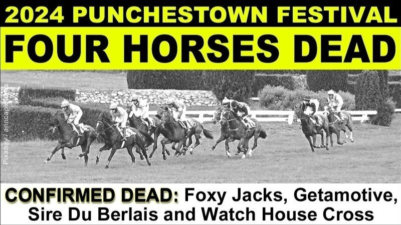 4 horses confirmed dead following #Punchestown Racing Festival change.org/p/irish-govern… #YouBetTheyDie