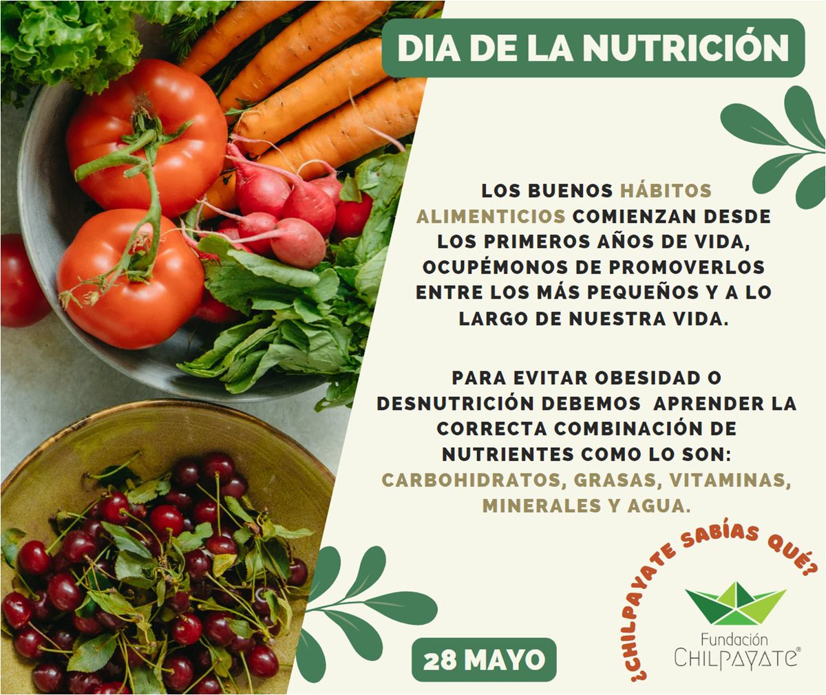 #Chilpayates💚 para mantenerse sanos nuestro plato debe incluir 50% verduras🍅, hortalizas🌽 y frutas🍌, 13% proteínas animal🍗, 15% leguminosas🫘 y 22% de granos🫛 y cereales🥜. Y tomar agua simple🫗.
#ChilpayatesSanosYFelices 💚