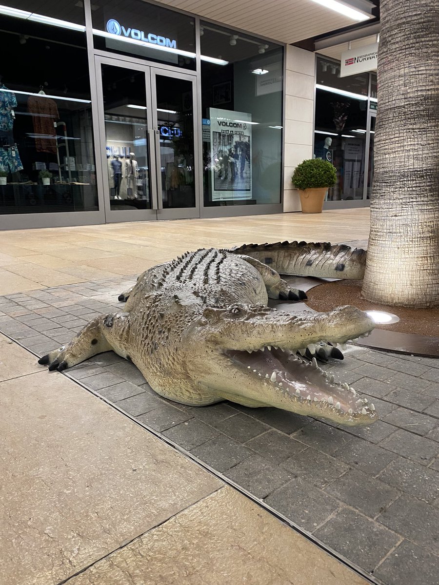 Macocaya_es's tweet image. ¡La selva llegó a The Style Outlets Viladecans gracias a Macocaya! 🌿🐾 Descubre nuestras réplicas de animales salvajes que transformaron el centro comercial en un safari urbano emocionante. #Macocaya #TheStyleOutlets #Viladecans #SafariUrbano #AnimalesSalvajes
