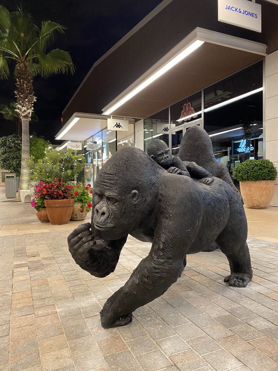 Macocaya_es's tweet image. ¡La selva llegó a The Style Outlets Viladecans gracias a Macocaya! 🌿🐾 Descubre nuestras réplicas de animales salvajes que transformaron el centro comercial en un safari urbano emocionante. #Macocaya #TheStyleOutlets #Viladecans #SafariUrbano #AnimalesSalvajes