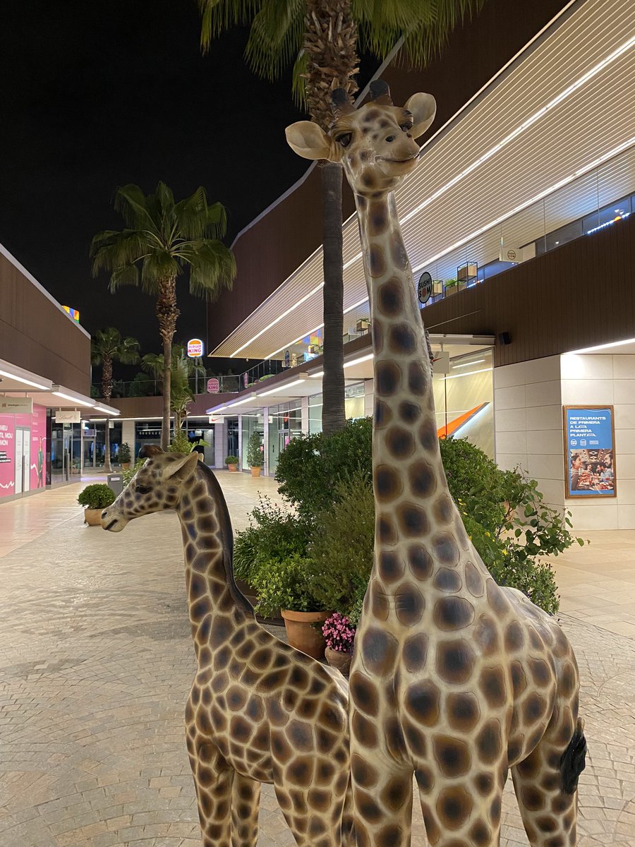 Macocaya_es's tweet image. ¡La selva llegó a The Style Outlets Viladecans gracias a Macocaya! 🌿🐾 Descubre nuestras réplicas de animales salvajes que transformaron el centro comercial en un safari urbano emocionante. #Macocaya #TheStyleOutlets #Viladecans #SafariUrbano #AnimalesSalvajes