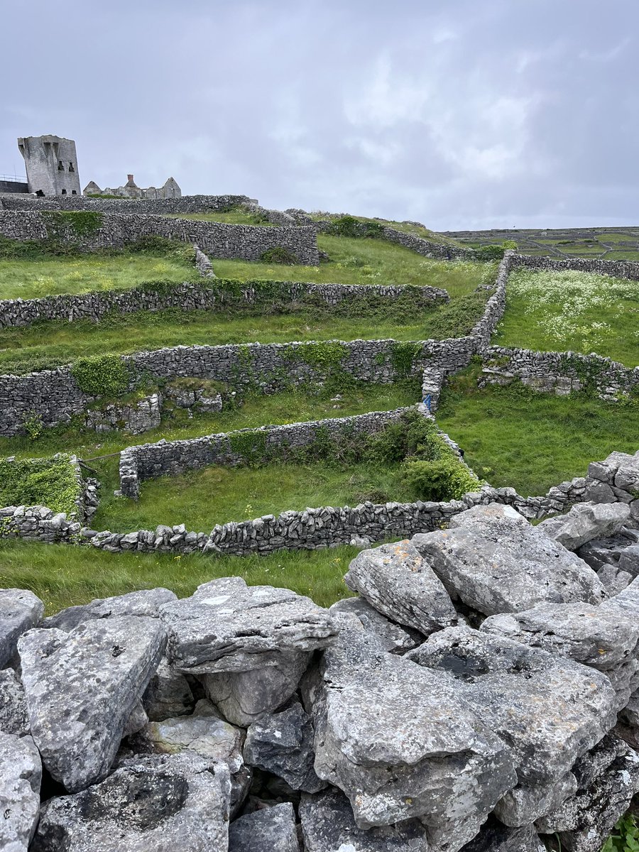 First time ever on Inis Oírr. A beautiful spot and we got lucky with the weather. <a href="/Doolin2Aran/">Doolin Ferry</a> <a href="/wildatlanticway/">Wild Atlantic Way</a> <a href="/visit_galway/">Visit Galway</a> <a href="/ClareTourism/">VisitClare</a>