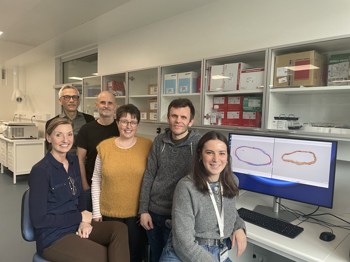 Hypertension (@hyperaha) on Twitter photo ON THE COVER: Thrilled to share research from @SDU Institute of Molecular Medicine unveiling new roles of ECM in vascular aging and hypertensive changes together with <a href="/bmbSDU/">Department of Biochemistry and Molecular Biology</a> and <a href="/AarhusUni_int/">Aarhus University</a>
ahajrnls.org/3KgDm2O ON THE COVER: Thrilled to share research from @SDU Institute of Molecular Medicine unveiling new roles of ECM in vascular aging and hypertensive changes together with <a href="/bmbSDU/">Department of Biochemistry and Molecular Biology</a> and <a href="/AarhusUni_int/">Aarhus University</a>
ahajrnls.org/3KgDm2O