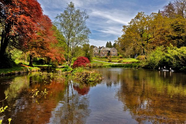 A five-bedroom home on Dartmoor where brown trout flourish, swallows glide and song thrushes lead the dawn chorus trib.al/ZlQELM3