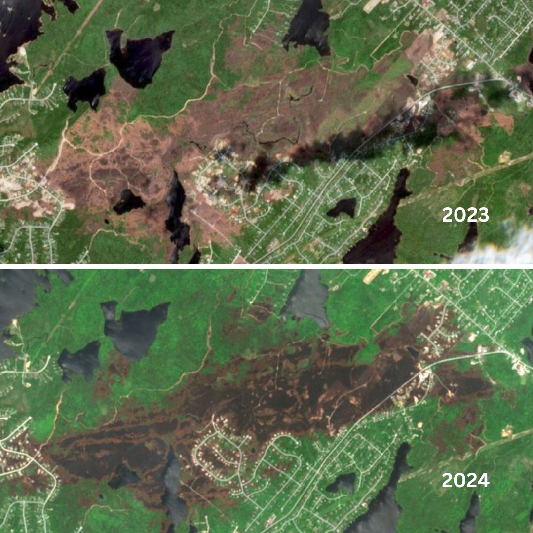 #EO One year after the Tantallon (NS) wildfire, Sentinel-2 satellite imagery still reveals the fire scar. The blaze forced over 16,000 people to evacuate. Positively, the May 2024 image shows significant rebuilding efforts.