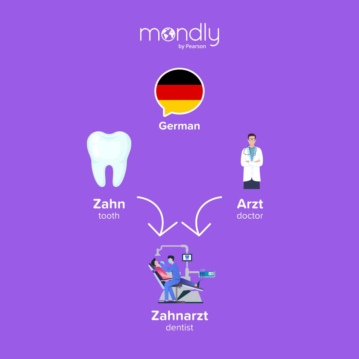 Learning German made easy. ✅ What compound words do you know? 🤔
#learnGerman