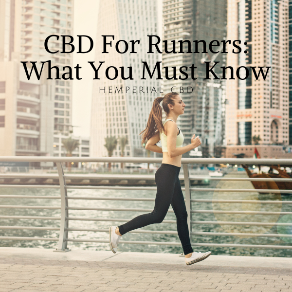 HemperialCBD's tweet photo. CBD FOR RUNNERS: WHAT YOU MUST KNOW
https://t.co/n6XM1kXiN2 https://t.co/AhrBPaTQ61