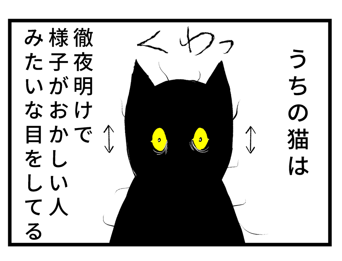 筆坊日記① 
(1/2)

#漫画が読めるハッシュタグ #黒猫 #4コマ漫画 