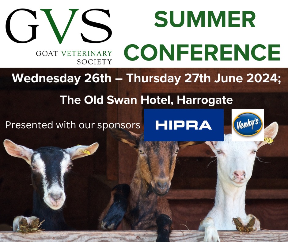 Registration for the GVS Summer Conference 2024 is now OPEN!
📷WEDS 26TH JUNE - THURS 27TH JUNE 2024
📷OLD SWAN HOTEL, HARROGATE, YORKSHIRE
Vets, farmers, goatkeepers, paraprofessionals are all welcome!
Use this link to register: forms.gle/dv1jbBnYzUhh3w…
