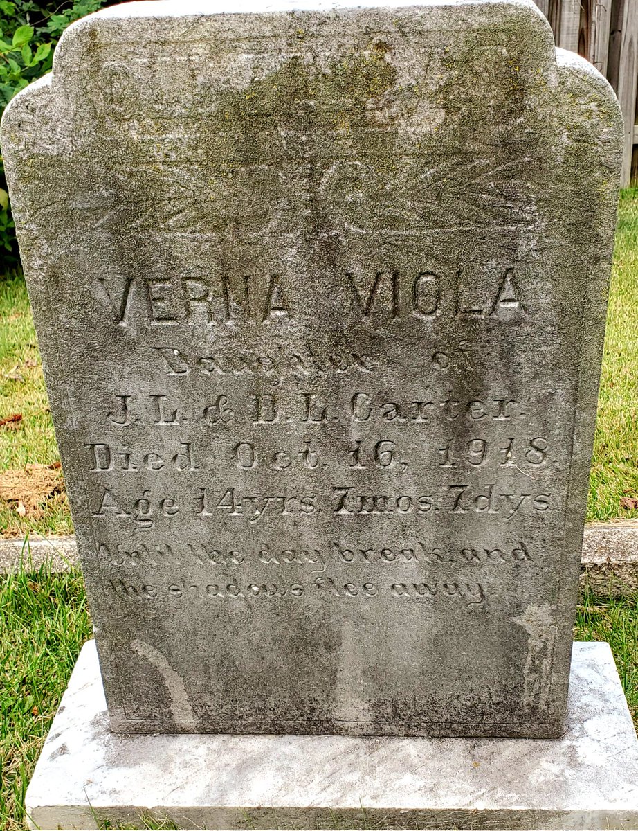 Verna Viola
#AlphabetChallenge 
#WeekV