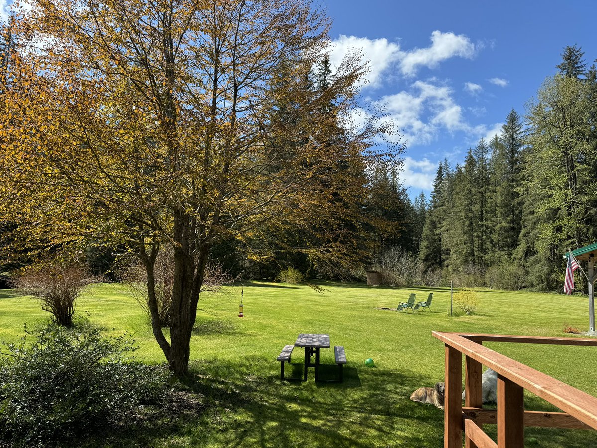 aloha_alaska's tweet photo. #JavaVibeTribe
Have a great week, I'm spending some relaxing #CabinTime, it's so quiet out here.
Cheers βοΈ βοΈ peeps! π¦πͺπΊπΈ https://t.co/ugAE2Jzw2Q
