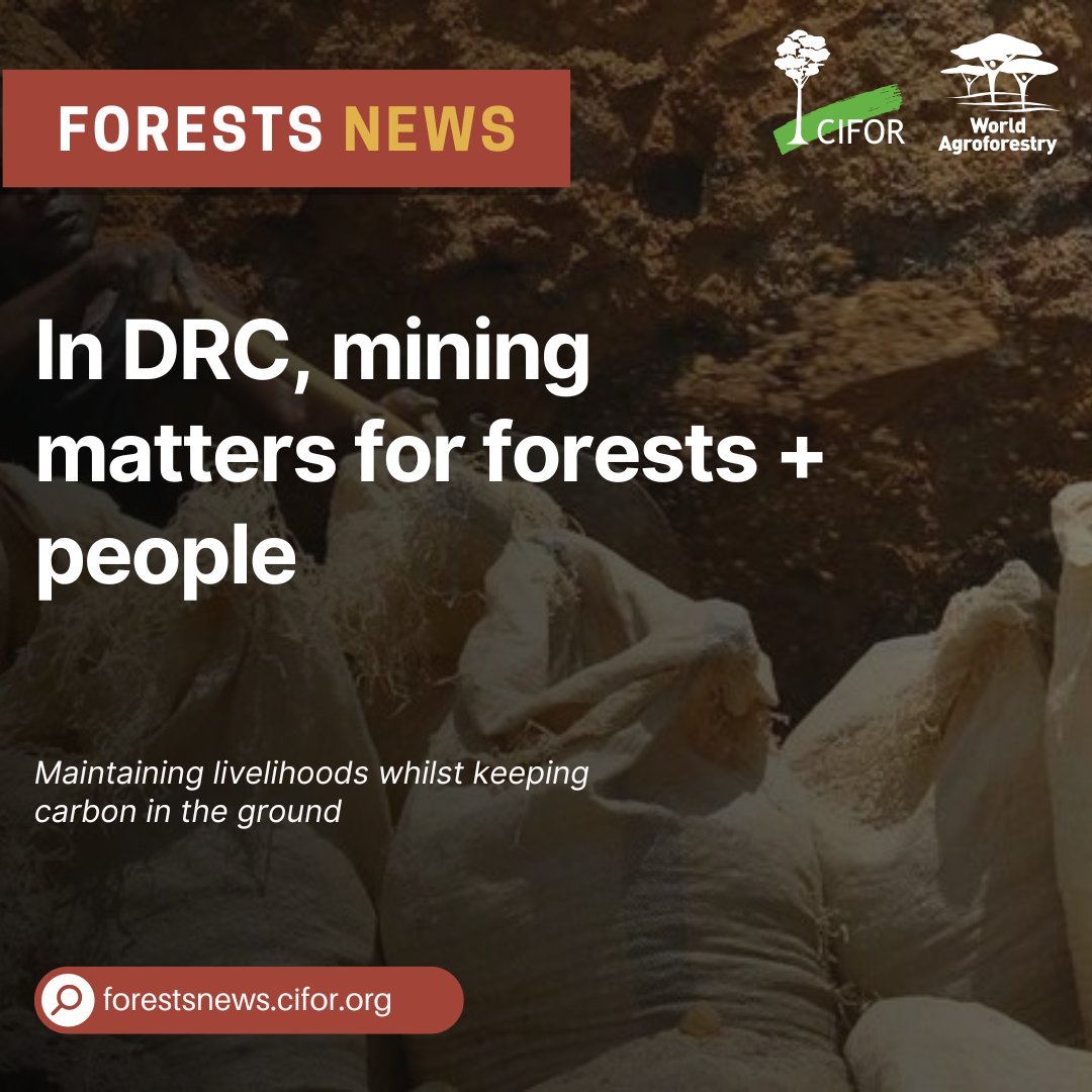Mining in the DRC is a complex issue. While it creates jobs and income for many, it also threatens vital forests. Here's why: Every hectare cleared for mining leads to 26 more lost elsewhere due to farming and settlements. Full story ↪️ bit.ly/3wSXVzs