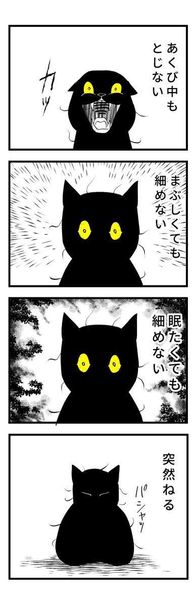 (2/2) 