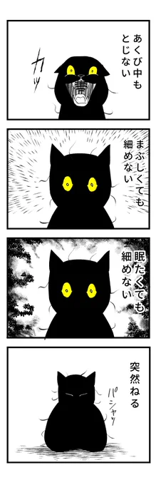 (2/2) 