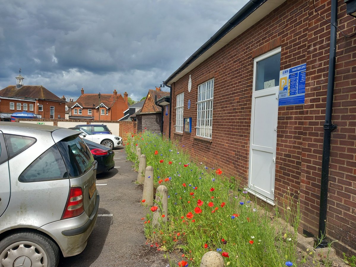 FryerningFrame's tweet photo. Some great work creating a wild flower drift in front of #IBOC #Ingatestone @EssexBGC
#Pemberton Hall #EWCP @Swatchway @wattsdirector
Courtesy of my #FOIS colleague Neil.
#MoreThanARailway indeed @CommunityRail @ESSCRP_ @RailDeliveryGrp @BwdConnected
@IngFryPC @Brentwood_BC https://t.co/tXTo4mtMEy