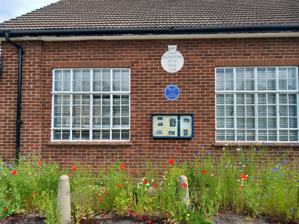 FryerningFrame's tweet photo. Some great work creating a wild flower drift in front of #IBOC #Ingatestone @EssexBGC
#Pemberton Hall #EWCP @Swatchway @wattsdirector
Courtesy of my #FOIS colleague Neil.
#MoreThanARailway indeed @CommunityRail @ESSCRP_ @RailDeliveryGrp @BwdConnected
@IngFryPC @Brentwood_BC https://t.co/tXTo4mtMEy