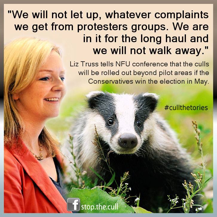 #badgermonday 🦡
Please 🙏 ask Labour to honour the pledge in their previous, excellent Animal Manifesto when they oust the Tories at the forthcoming General Election & #stopthecull! 
(The Green Party has always said that they would. 👍)
✒️protectthewild.org.uk/badger-petitio…
Thank you! 😘