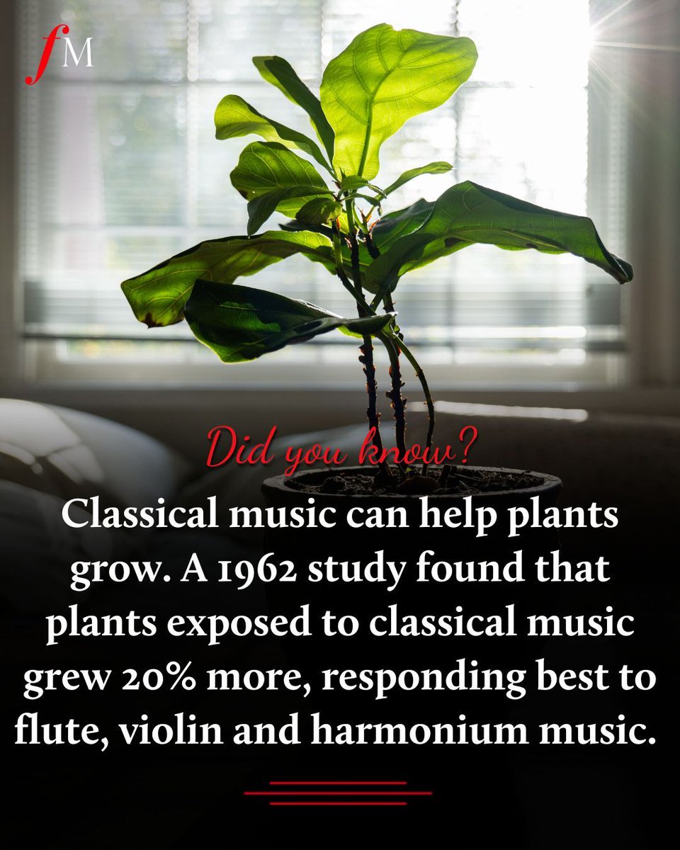Turns out plants love Mozart, too. Join us for our last day of Classic FM’s Great Gardening Weekend. @ZebSoanes explores the connection between classical music and plant growth on Growing Classics, this evening from 7pm. 🌱