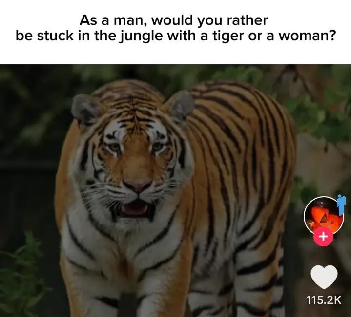 «Мужчины, вы бы предпочли застрять в джунглях с тигром или с женщиной?» Ну все, теперь и тигры не будут в безопасности.