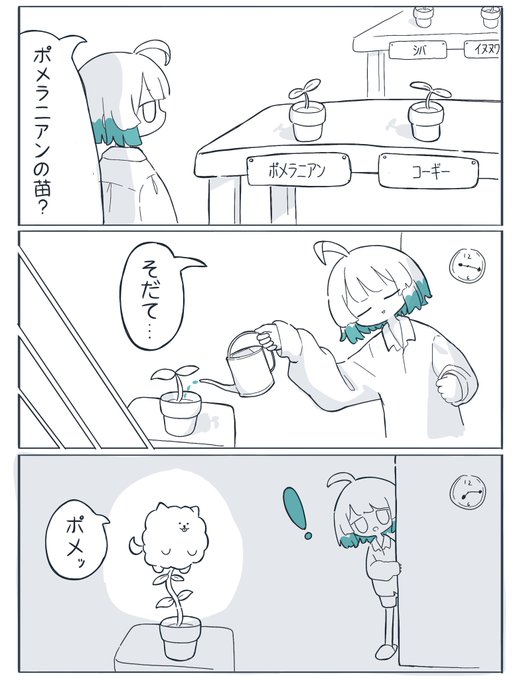 ポメ 
