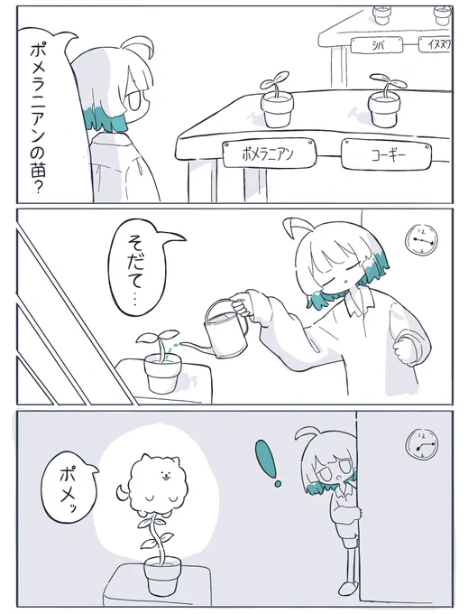 ポメ 