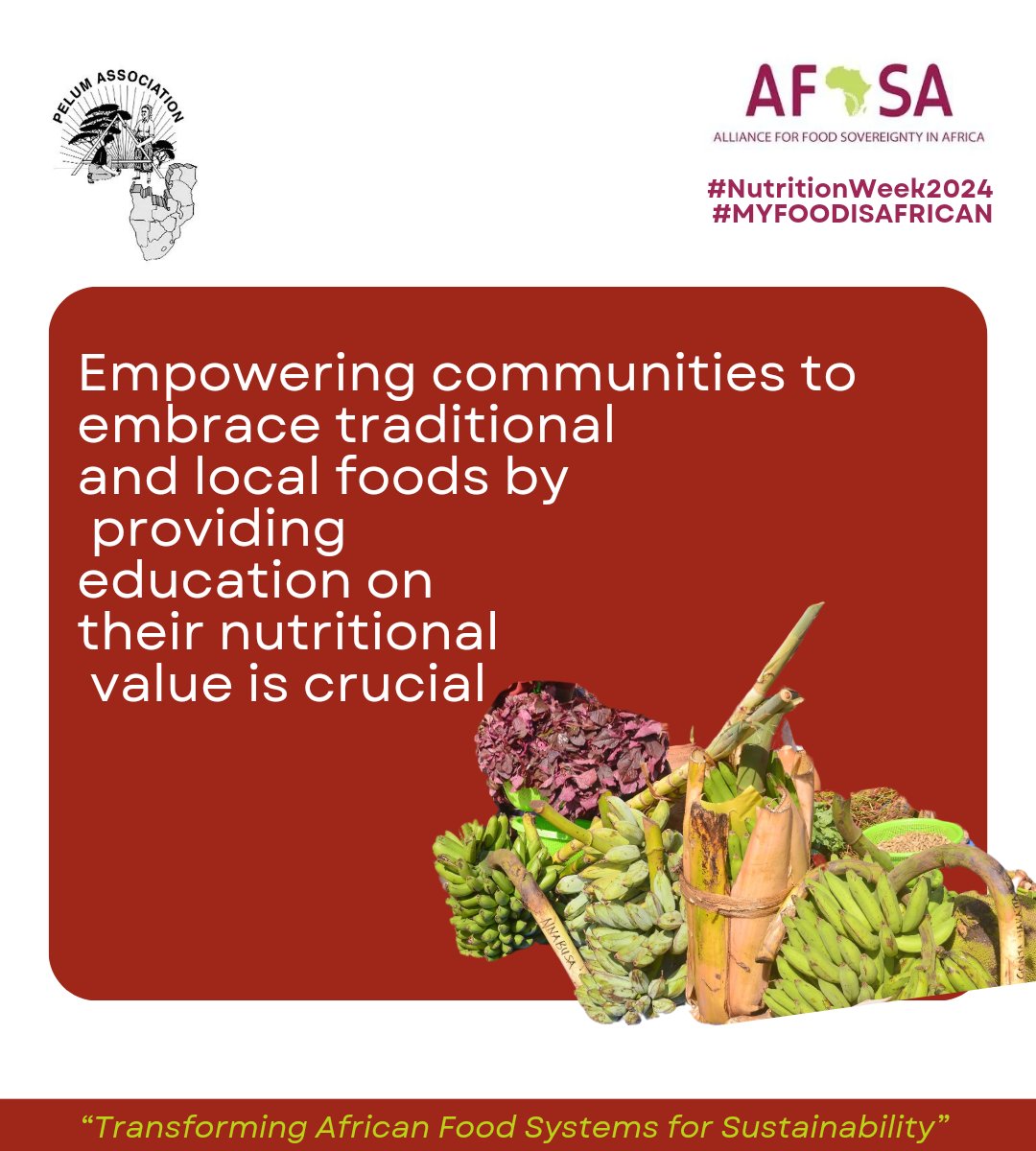 One of the solutions to malnutrition that is being fronted by @pelum_uganda is Agroecology. 

Agroecology offers a holistic approach which prioritizes healthy ecosystems, diverse crops and community well-being. 

Read On:
#NutritionWeek2024
#MYFOODISAFRICAN