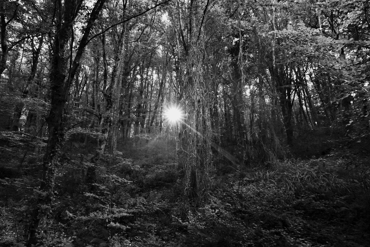 "Doğada Bir Gün Geçirme Deneyimi"

Sanatçı Ahmet Duru’nun insan-doğa ilişkisini eleştirel açıdan tartıştığı eserlerinden oluşan, MERKUR’deki ilk kişisel sergisi “Güneş Çarpması” üzerine Marcus Graf yazdı.

Okumak için: bit.ly/3Ki8OOj (<a href="/DrMarcusGraf/">Marcus Graf</a>, <a href="/MERKURgallery/">MERKUR</a>)