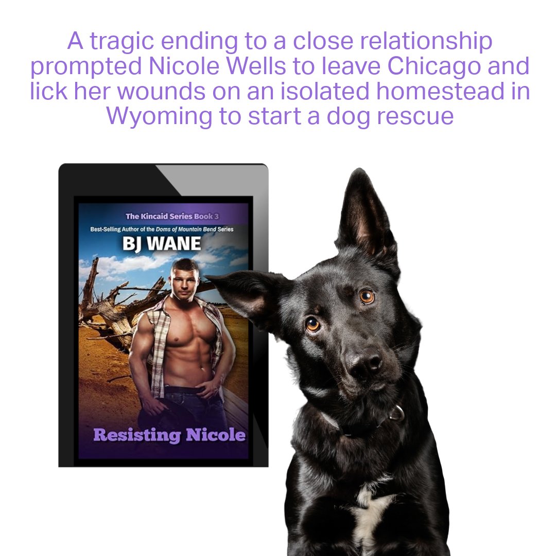 amazon.com/dp/B0D1TGFCHY amazon.co.uk/dp/B0D1TGFCHY Resisting Nicole the third and final instalment in the Kincaid Family trilogy @BJ_Wane Kindle Unlimited #kindleunlimited #bjwane #kincaidseries #romance #contemporaryromance