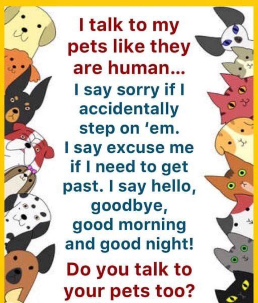 All the time. I think she actually gets sick of listening to me some days. Do you talk to your Pets? Do they understand you like mine does?