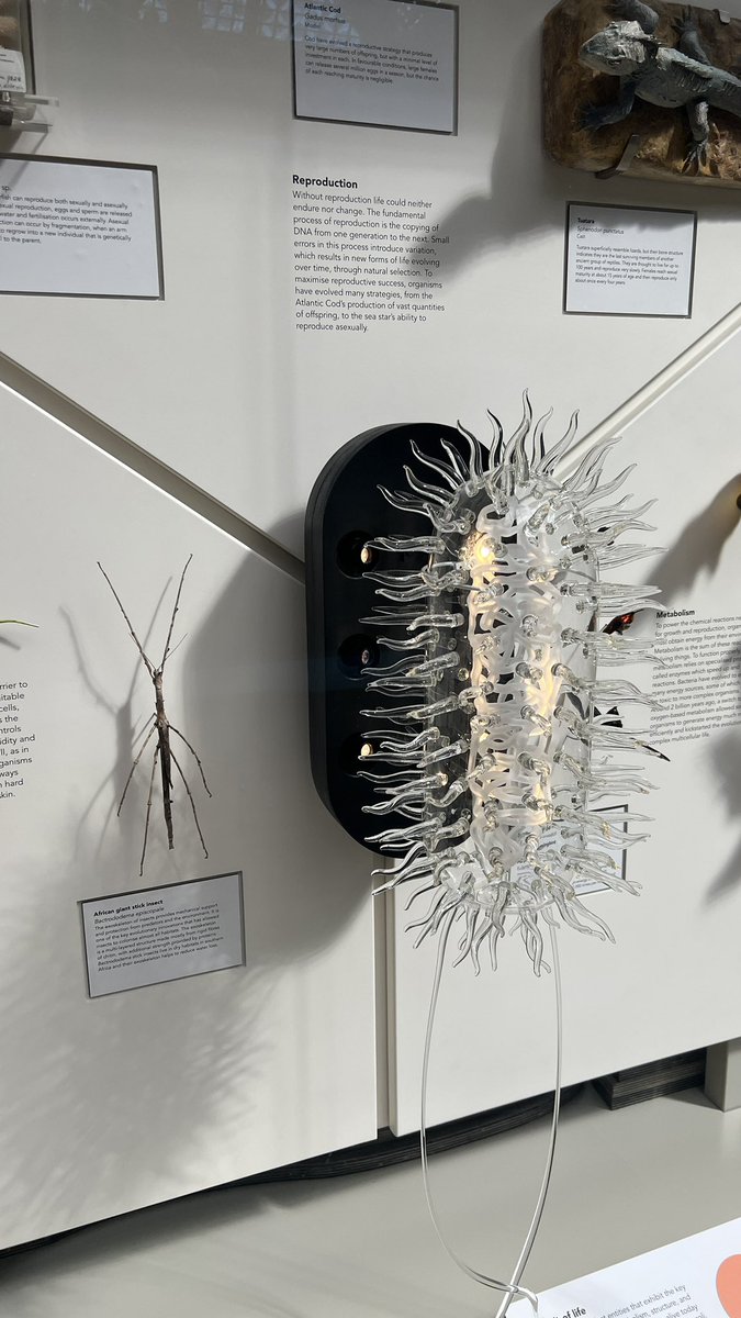 Luke Jerram tweet media