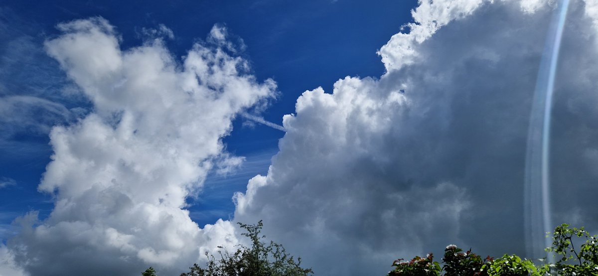 Ian Burgoyne tweet media