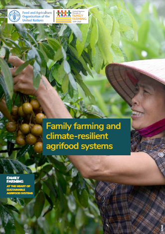 Family farming is at the ❤️of sustainable agrifood systems through practices including...

🌱agroecology 
🐟nutrient, energy & waste recycling
 🐤natural pest control
🍠crop diversification
🌿efficient management of natural resources

More here➡️tinyurl.com/yxmhur4r