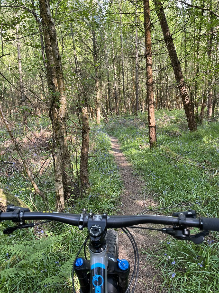 @mototingle The 1290 is a beast in its own right. I’m planning on giving those trails a good beating on my Mountain bike as soon as the weather improves. May even get some miles on the MT09. As I have a passion for both. ❤️❤️