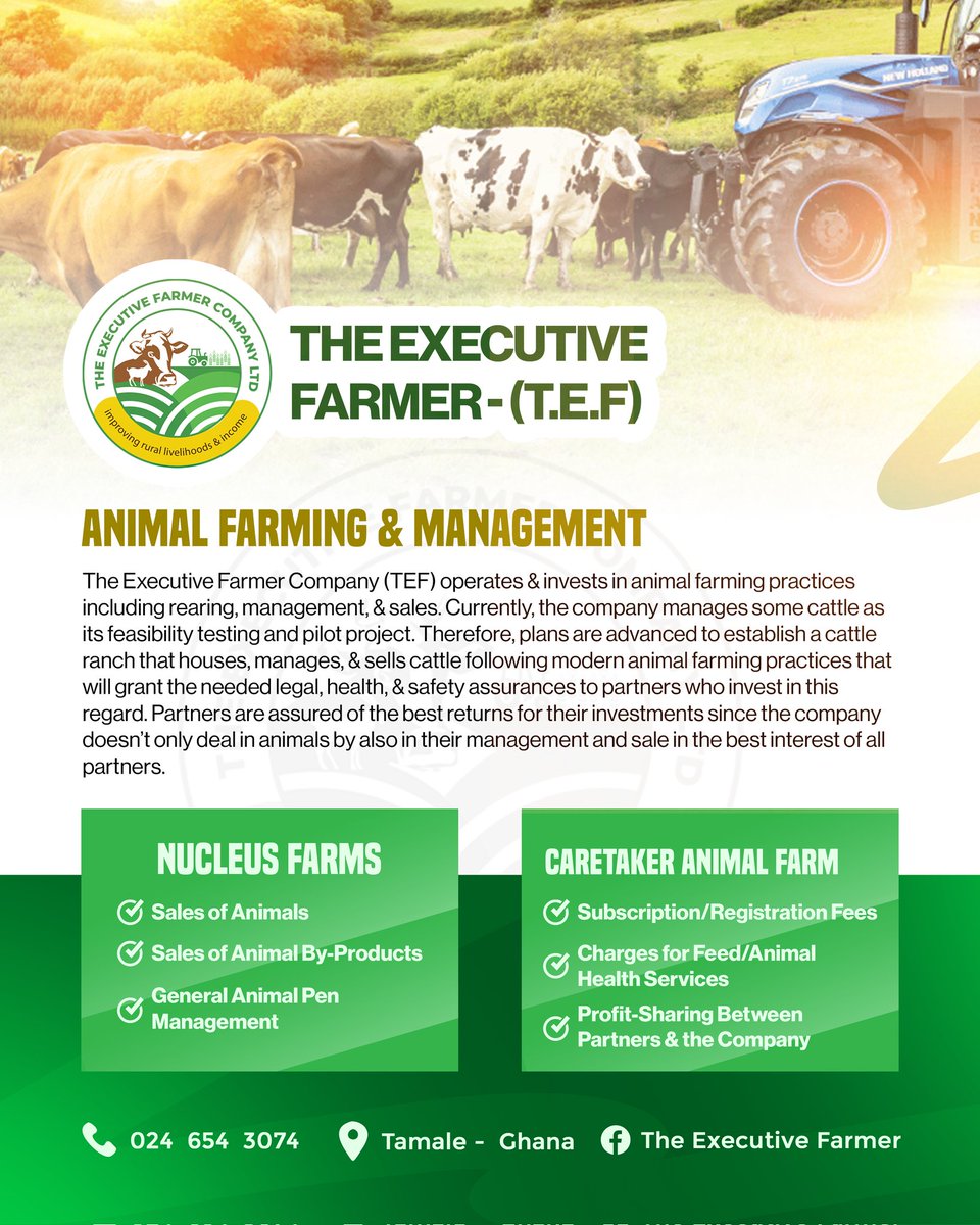 Issahak0264's tweet photo. Social media designs for The Executive Farmer Ltd.
.
.
.

#misaakib #acegrafix #socialmediadesigner #socialmediadesign #eflyer #eflyers #graphicdesigncentral #byk
#inspirationalquotes #motivationalquotes #iampuntin #speaker #writer #rapper #producer #author #photoshop https://t.co/Hd02o871to