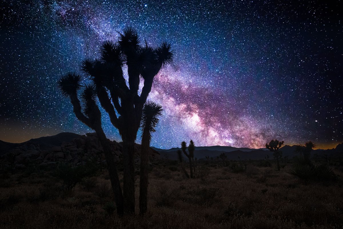 The 10th annual 'Contact In The Desert' starts this week and will feature discussions on #UFOs, science, technology, ancient civilizations and space exploration. patch.com/california/pal…