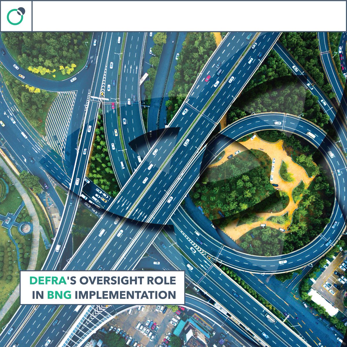 TerraExchange_'s tweet photo. ✅ From setting standards to ensuring compliance, Defra plays a vital part in the success of Biodiversity Net Gain. 

Find out more in our new article! 
https://t.co/tXu8OiQtHw

#DefraBNG #BNGImplementation https://t.co/FqwAUlz62x