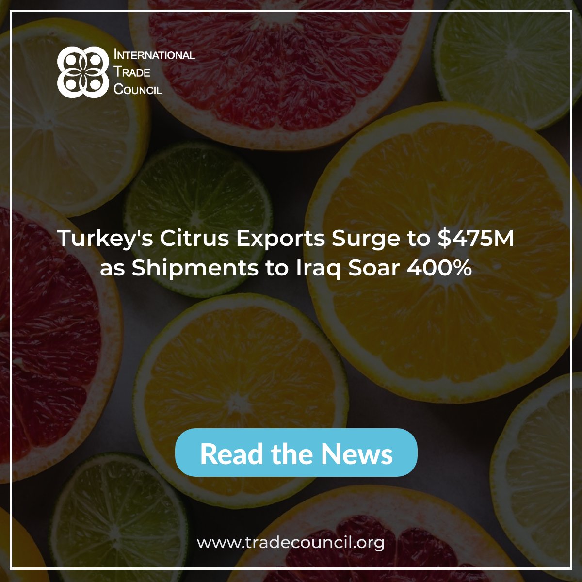 SupplyChainRep's tweet image. Turkey's Citrus Exports Surge to $475M as Shipments to Iraq Soar 400%
Read The News: tradecouncil.org/turkeys-citrus…
#ITCNewsUpdates #TradeNews #ExportUpdate #CitrusMarket #InternationalTrade #BreakingNews