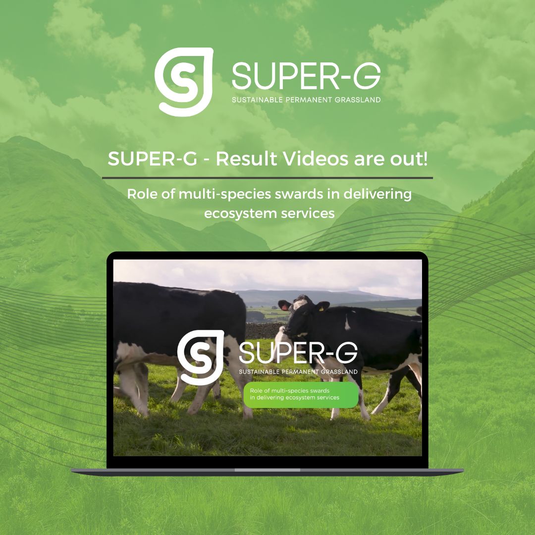 🚀 Welcome to the SUPER-G project results series!

🎥 Today we present the fifth and last video: ‘Role of multi-species swards in delivering ecosystem services’.

👀 Click on the link to watch the video: youtube.com/watch?v=NblYTX…