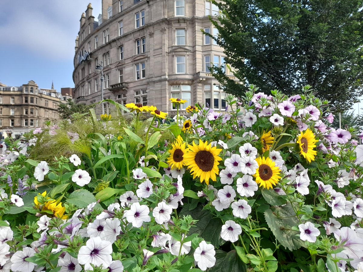 📣 @NatureChampions News! 📣 @JoeFitzSNP is the new #NatureChampion for Community Green Space! Joe will be working with @ScotLINK member @KSBScotland to champion these important places for people and nature in @ScotParl. Find out more: scotlink.org/species/commun…