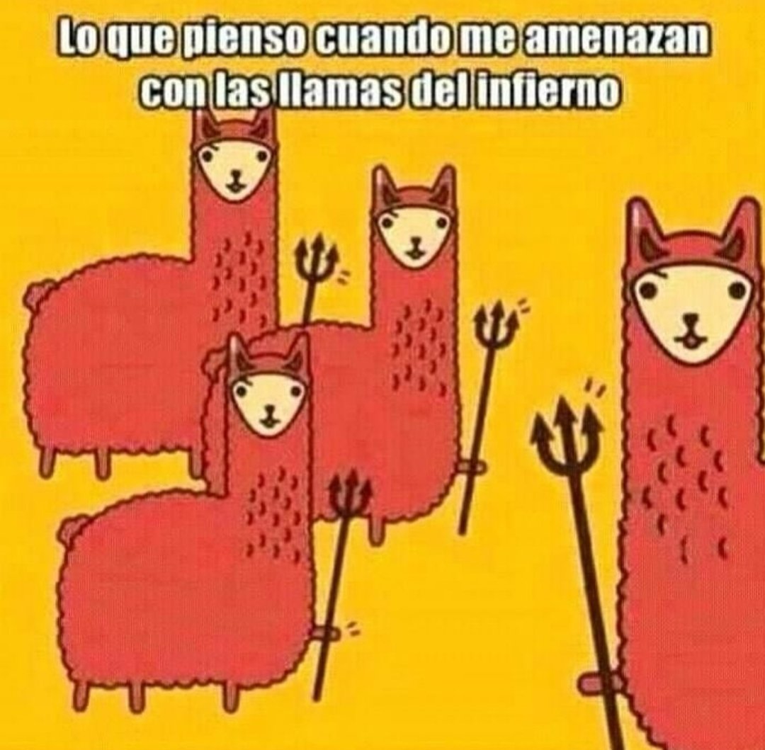 diostuitero's tweet photo. No puedo con vosotros. https://t.co/QamqNhRPRs