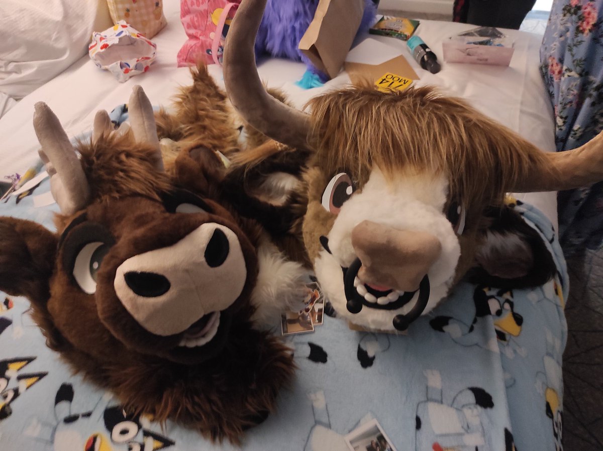 Barlow & Rasco! tweet media