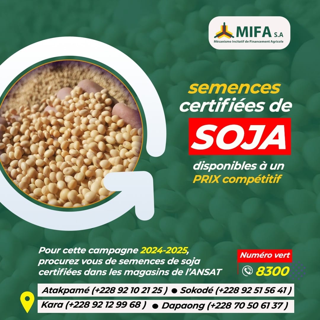 🌱🌱SEMENCES CERTIFIÉES DE SOJA À PORTÉE DE MAIN !!! 🌱🌱
Chers acteurs du secteur agricole, amoureux de la culture du soja, démarrez la prochaine campagne agricole en toute sérénité, avec des semences de qualité chez <a href="/Mifatogo/">MIFA S.A Togo</a>!  
Appelez vite les numéros de l'affiche 👇