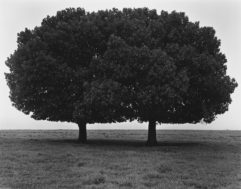 birbirine karışmak